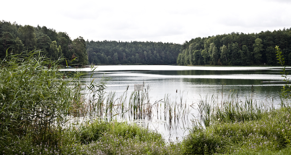 _MG_5848 _MG_5848